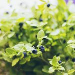 潤い成分ゼロ?!なのに、お肌の細胞レベルから・・・